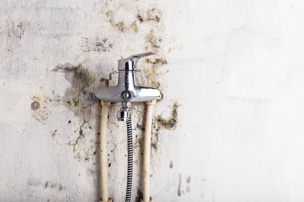 Best Residential Mold Remediation in Turley, OK