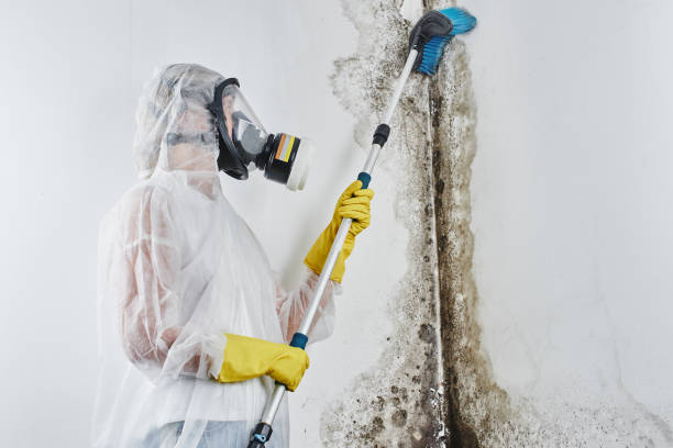 Best Mold Remediation for Specific Building Types in Turley, OK