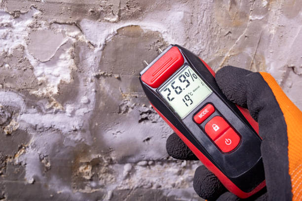 Best Emergency Mold Remediation in Turley, OK