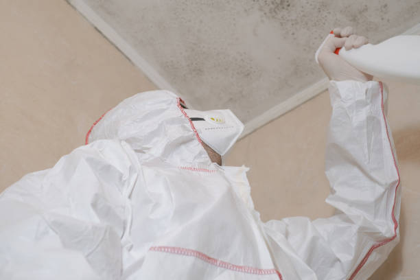 Reliable Turley, OK Mold Remediation Solutions